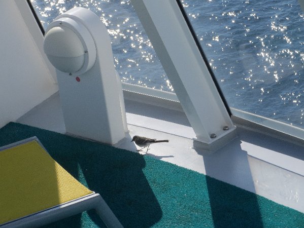 2013_Norwegen_IMG_1011 (109)